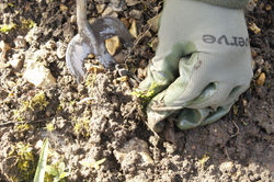 20240330091729__MG_0039