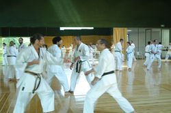 stage kumite 152