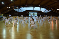 ADSC_1275 (2)