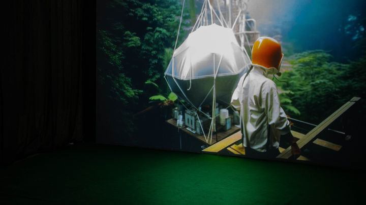 Person standing on a wooden platform in the rainforest, facing a suspended translucent structure illuminated from above.