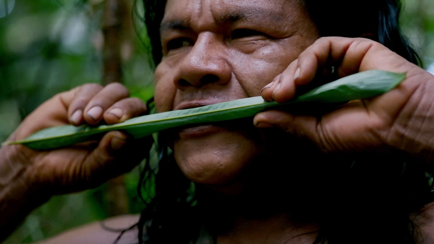 Indigenous man holding a green leaf to his mouth in a forest environment.