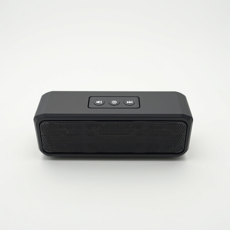 Bluetooth Portable Speaker
