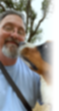 Tod w Dog4.png
