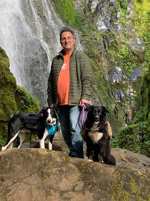 Helping furry friends adjust to new environments.