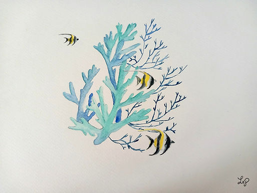 poissons_marin