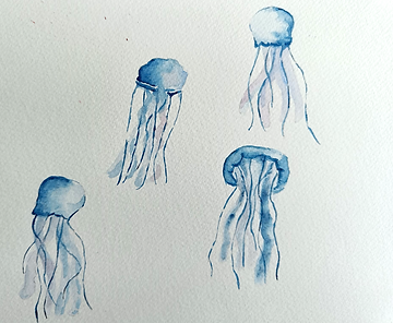 Méduses aquarelle