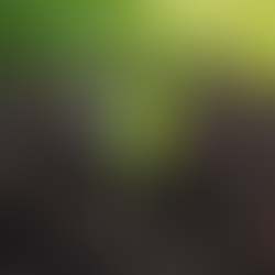 The Unknown Believer: Exploring the Meaning of Unknown Believer from a Spiritual Perspective