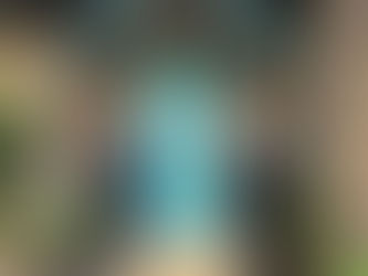 Richmond Park News: 13 November 2020