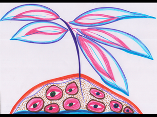 Colorful drawing of a plant with blue and pink leaves and a base resembling a fruit with pink spots and black centers on a white background.