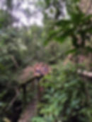 Headhunters Trail