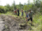 Volunteering at Matang