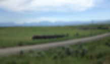 image1-2.jpeg