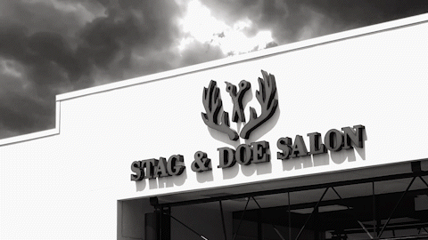 stag_and_doe_salon_loop_bw_MOV_AdobeExpress.gif