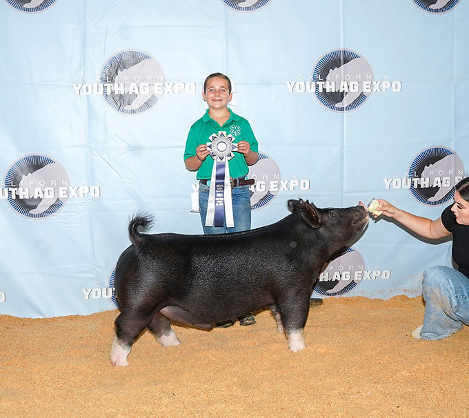 Jacee reserve Berk Market Hog CYAE 2025 - Kara Backman.jpeg