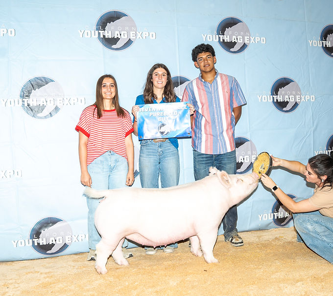 IMG_3713 - Michelle Lindley.jpeg