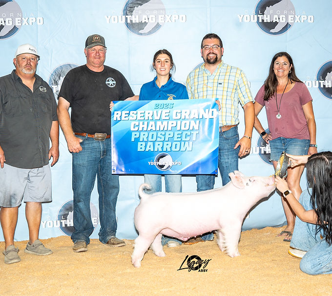 IMG_3714 - Michelle Lindley.jpeg