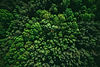 Luftaufnahme eines dichten grünen Waldes – Symbol für Nachhaltigkeit, Umwelt- und Klimaschutz bei DR. HESSE durch ressourcenschonende Chemie-Lösungen.