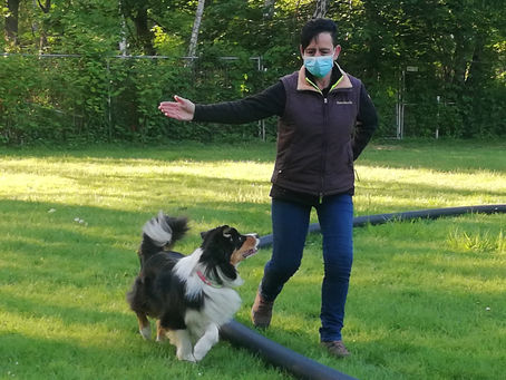 Die 1.Trainingswoche