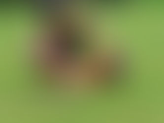 Haben heute beim Hoopers Training die Tunnel ausprobiert, Test bestanden!