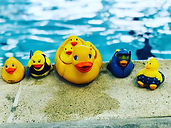 Duckies.JPG