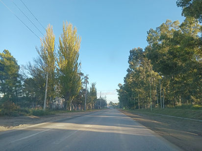 Jueves soleado 
