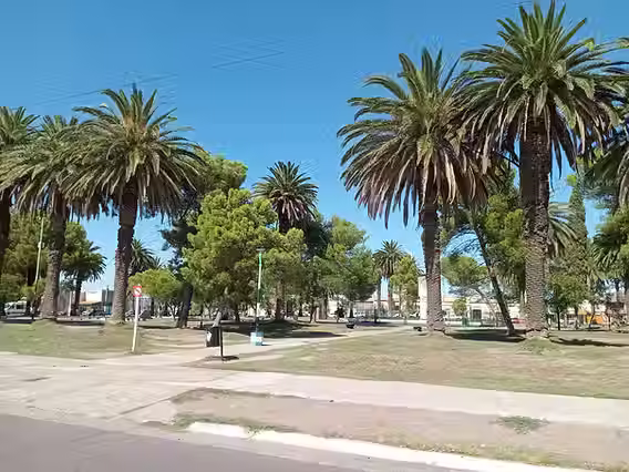 La semana comienza con sol