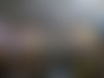 La Selección regresó y fue recibida por miles de hinchas