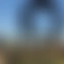 ¿Bahía Blanca le hizo un homenaje a Sadam Husein?