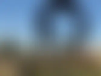 ¿Bahía Blanca le hizo un homenaje a Sadam Husein?