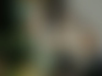 Villa Mitre tiene que ganar para seguir en competencia