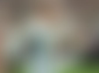 Messi: “Hubo momentos en los que estuve con mucha bronca por errar el penal pero lo pude remediar”