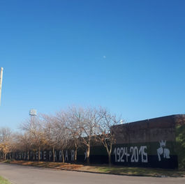 Sábado soleado