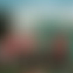 Villa Mitre sumó dos amistosos pensando en el Federal