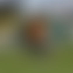 Segundo amistoso de Villa Mitre