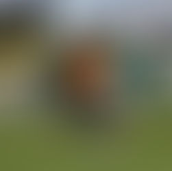 Segundo amistoso de Villa Mitre