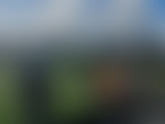 Planting Season 2022 