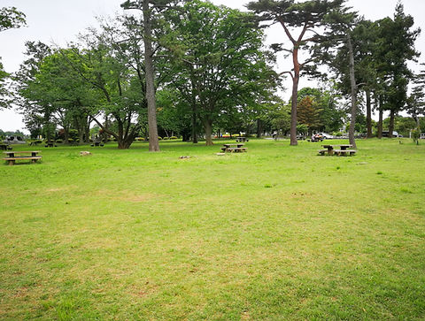 八柱霊園 (26) (1).jpg