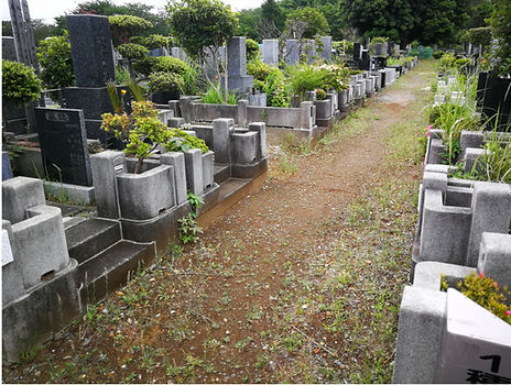 八柱霊園 (7) (1).jpg