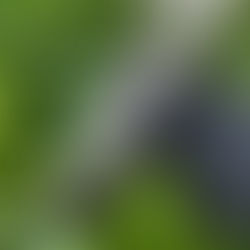 What's new on Aliexpress - August 17 2025