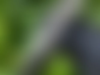 What's new on Aliexpress - August 17 2025