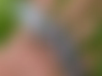 What's new on Aliexpress - October 5 2025