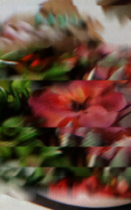 A-Borisov_SILKWWWAY_S015-R.png
