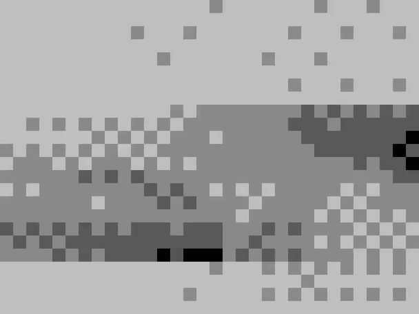CYFEST11