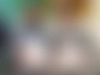 Mexico Real Estate Exam Passed