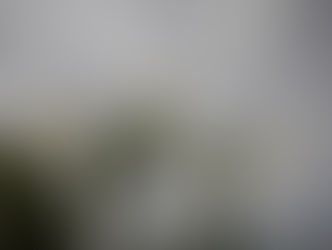 不定期テレビ日記（２０２５年６月）