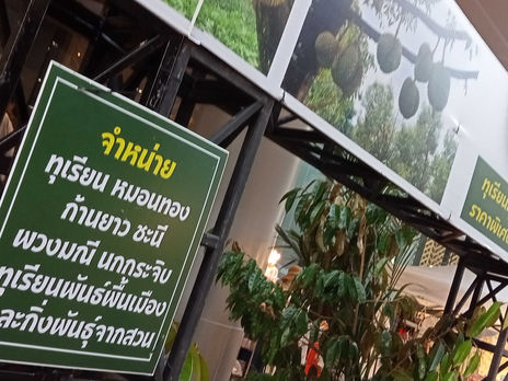 <フォトアルバム>２０２２年４月〜マンゴー、ドリアンのシーズンへ