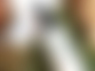 Butik Üretim Nedir?