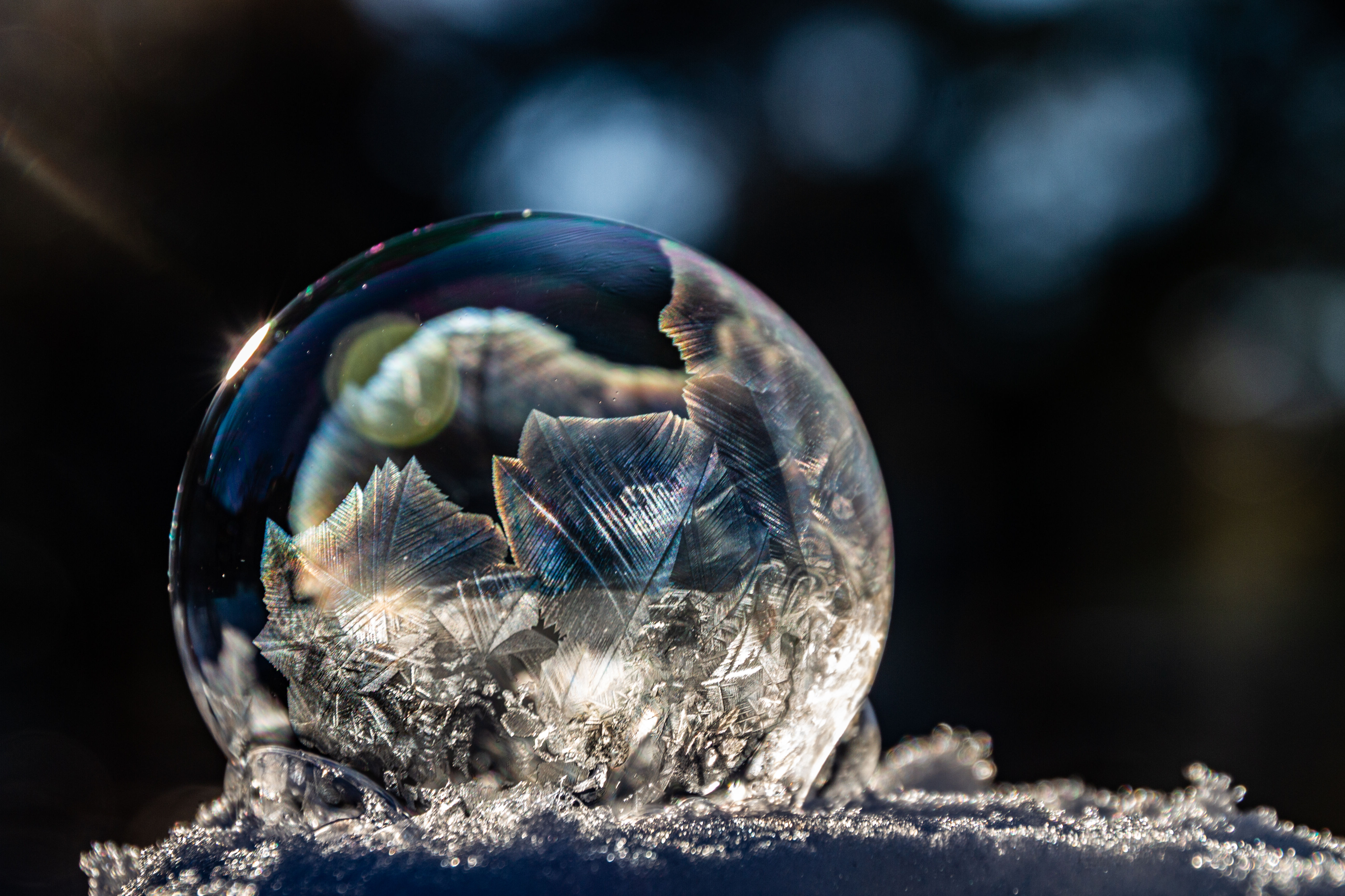 Goldilocks #8 of #8-Limited Edition of 50