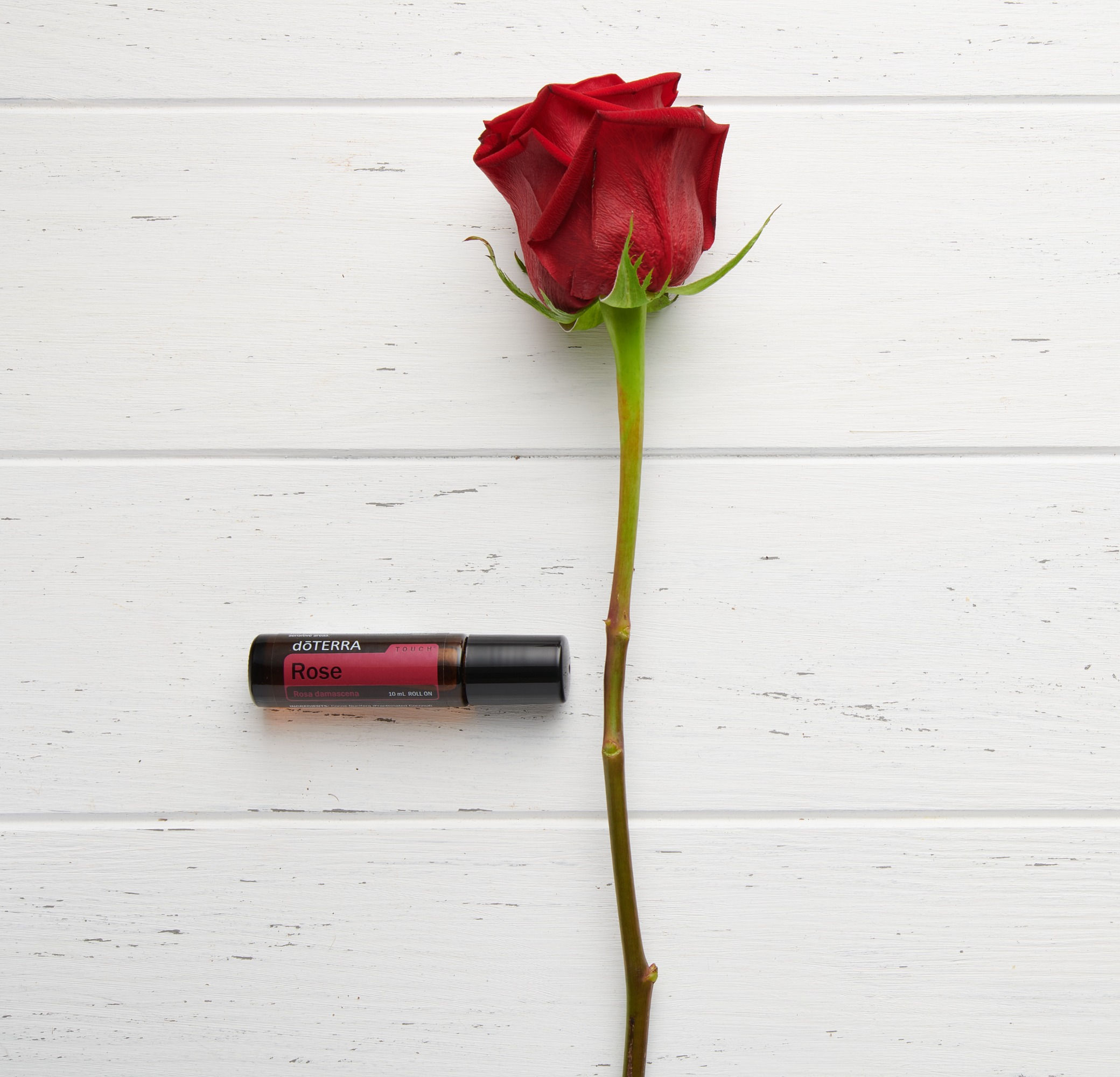 doTERRA Rose Touch