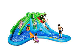 Crcodile Water slide